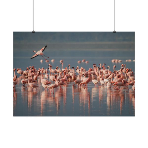 101875-286.jpg Flamingos in Africa Poster