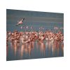 101875-287.jpg Flamingos in Africa Poster