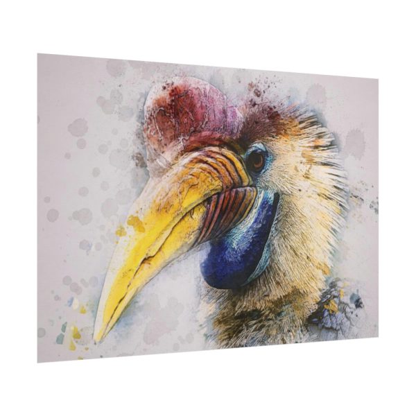 101875-292.jpg Hornbill Bird Poster