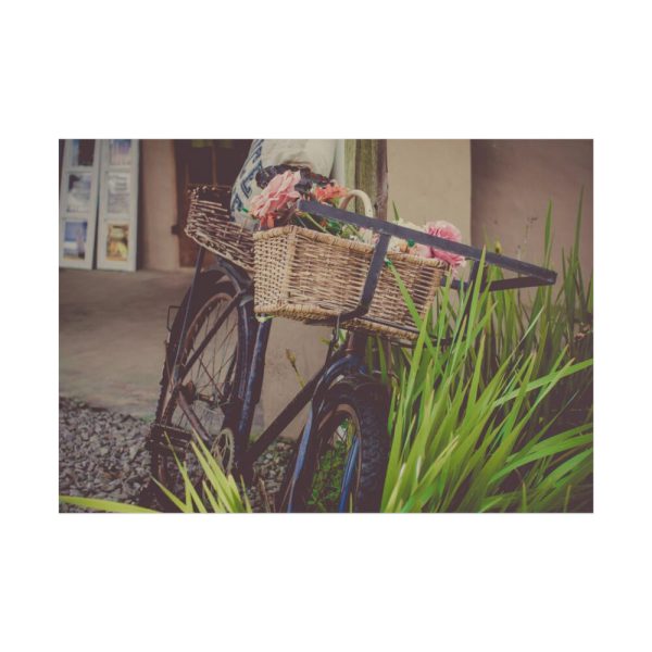 101875-350.jpg Flowers on Bicycle Poster