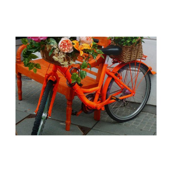 101875-355.jpg Bike Decorated With Flowers Poster