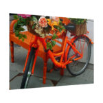 Bike Decorated With Flowers Poster - Image 13