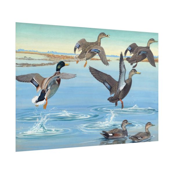 101875-552.jpg Vintage Ducks Art Poster