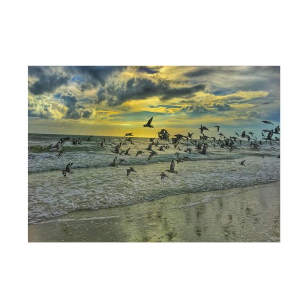 101875-80.jpg Convey of Birds are Flying Duing Sunset Poster