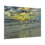 Convey of Birds are Flying Duing Sunset Poster - Image 13