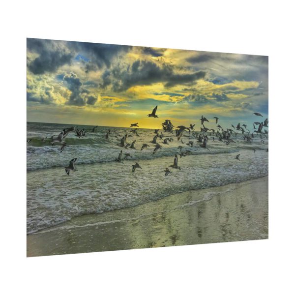 101875-82.jpg Convey of Birds are Flying Duing Sunset Poster