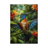 Colorful Hummingbird Poster