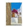 Street In Lindos Poster