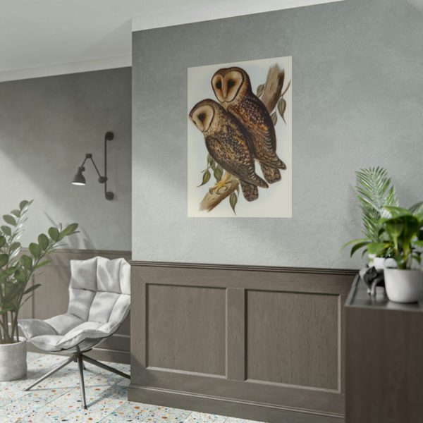 Masked Barn Owl by Elizabeth Gould Poster