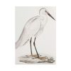 101894-50.jpg Indian White Heron by John Edward Gray Poster