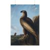 101894-61.jpg Washington Sea Eagle by John James Audubon Poster