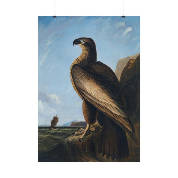 101894-61.jpg Washington Sea Eagle by John James Audubon Poster