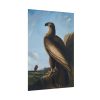 101894-62.jpg Washington Sea Eagle by John James Audubon Poster