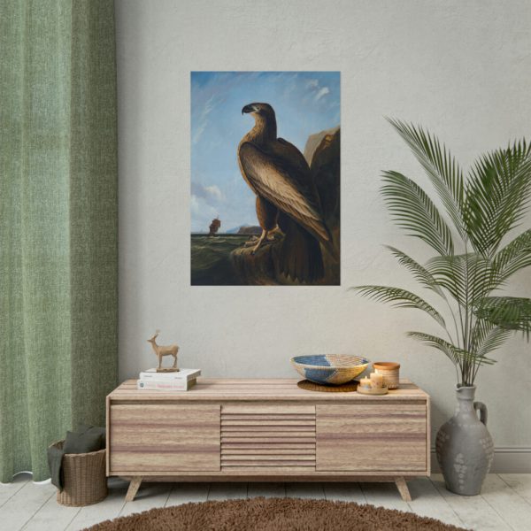 101894-63.jpg Washington Sea Eagle by John James Audubon Poster