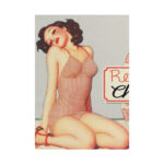 Retro Pin-up Lady Art Collag Poster - Image 11