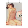 101894-86.jpg Retro Pin-up Lady Art Collag Poster