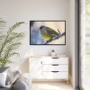 88289-148.jpg Goldfinch Bird Framed Canvas