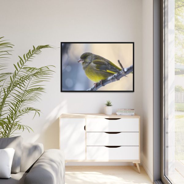 88289-148.jpg Goldfinch Bird Framed Canvas