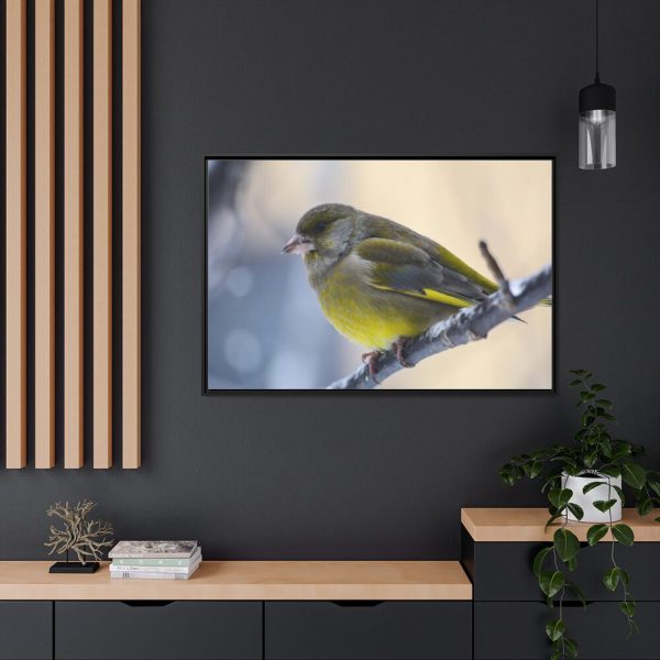 88289-149.jpg Goldfinch Bird Framed Canvas