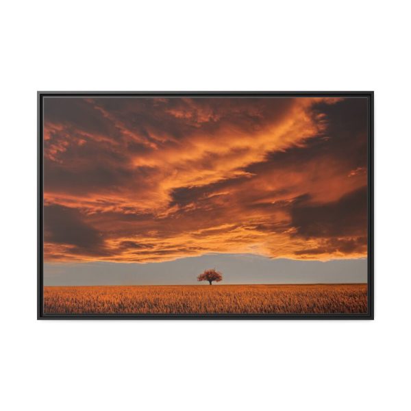 Orange Scenery With Beautiful Tree Framed Canvas