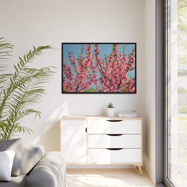 88289-163.jpg Peach Blossoms Flowering Tree Framed Canvas