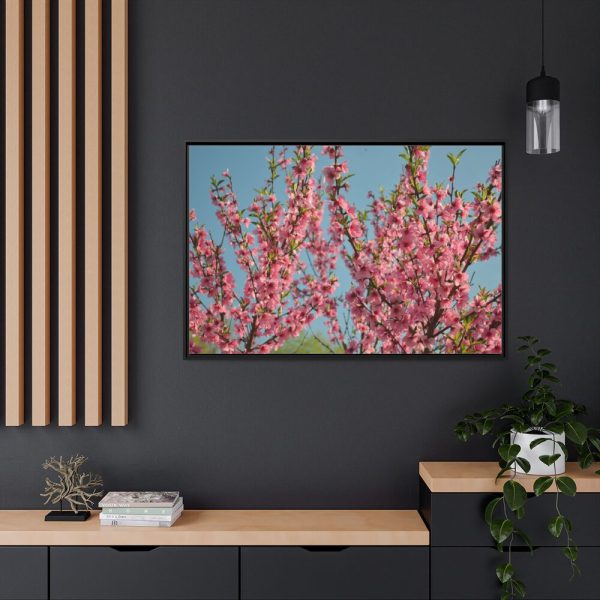 88289-164.jpg Peach Blossoms Flowering Tree Framed Canvas