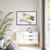 88289-173.jpg Coromandel Owl by John Edward Gray Framed Canvas