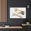 88289-174.jpg Coromandel Owl by John Edward Gray Framed Canvas