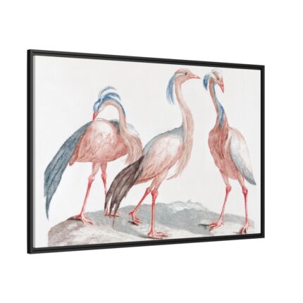 Miss Crane Birds by Johan Teyler Framed Canvas