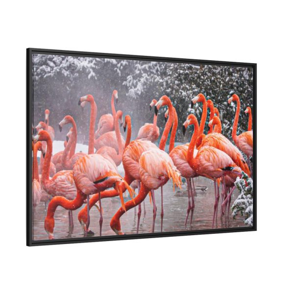 88289-180.jpg American Flamingo by Mehgan Murphy Framed Canvas