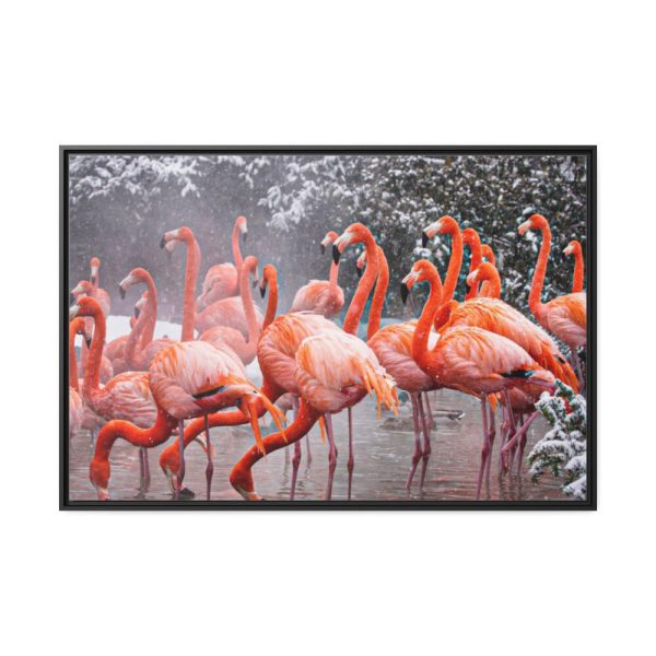88289-181.jpg American Flamingo by Mehgan Murphy Framed Canvas