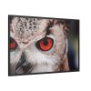 88289-215.jpg An Owl With Red Eyes Framed Canvas