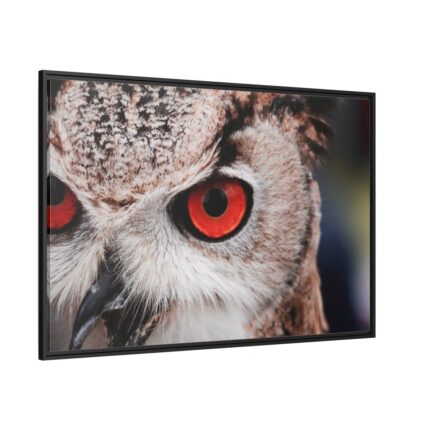 An Owl With Red Eyes Framed Canvas