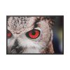 88289-216.jpg An Owl With Red Eyes Framed Canvas