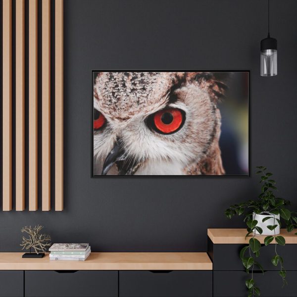 88289-219.jpg An Owl With Red Eyes Framed Canvas
