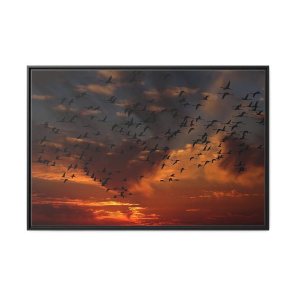 88289-221.jpg Flamingos Swarm Birds Nature Framed Canvas