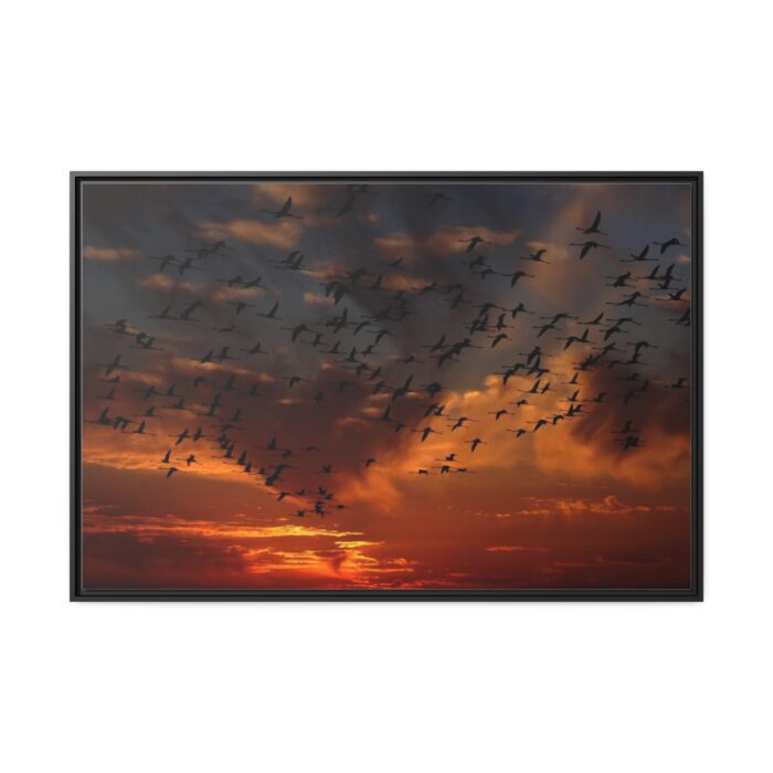 Flamingos Swarm Birds Nature Framed Canvas - Image 2
