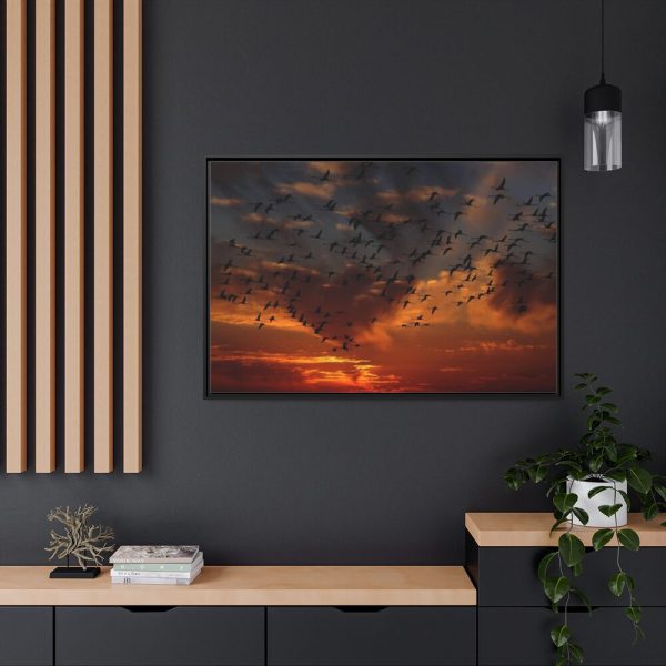 88289-224.jpg Flamingos Swarm Birds Nature Framed Canvas