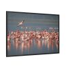 88289-245.jpg Flamingos in Africa Framed Canvas