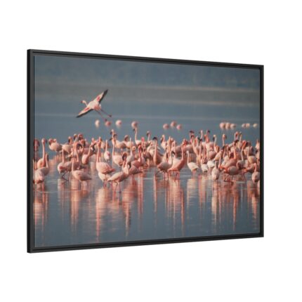 Flamingos in Africa Framed Canvas