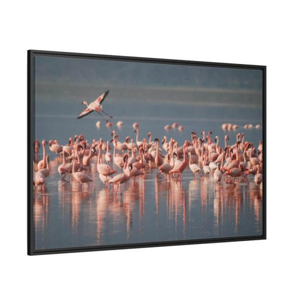 88289-245.jpg Flamingos in Africa Framed Canvas