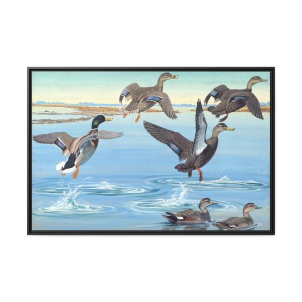 88289-461.jpg Vintage Ducks Art Framed Canvas