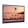 88289-85.jpg Bird Flying over Turkey Framed Canvas