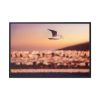 88289-86.jpg Bird Flying over Turkey Framed Canvas