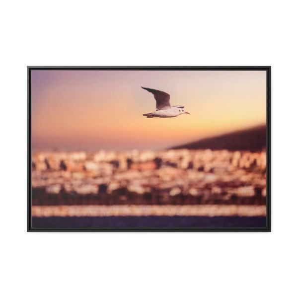 88289-86.jpg Bird Flying over Turkey Framed Canvas