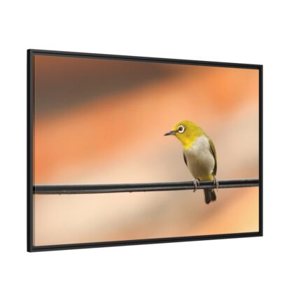 Yellow Bird Framed Canvas
