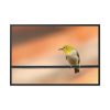 88289-91.jpg Yellow Bird Framed Canvas