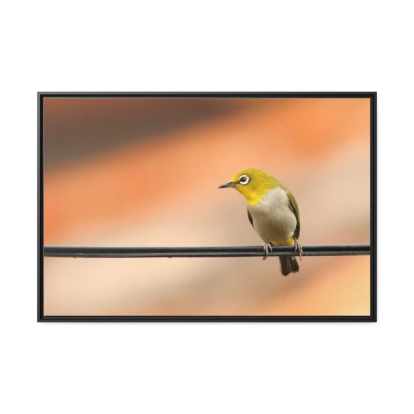 88289-91.jpg Yellow Bird Framed Canvas