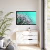 88289-98.jpg Water Droplets Dandelion Seeds Framed Canvas