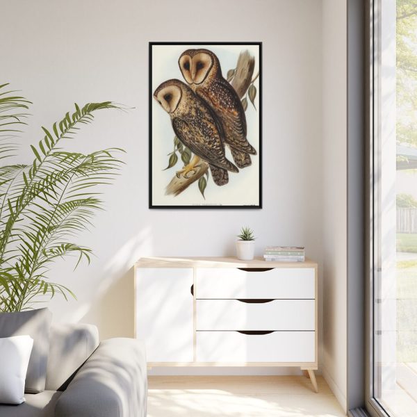 88299-33.jpg Masked Barn Owl by Elizabeth Gould Framed Canvas